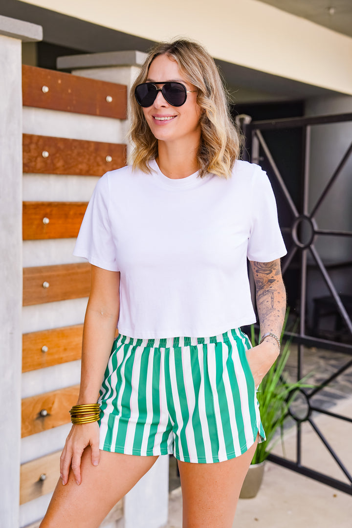 The Buckley Shorts in Alley Stripe