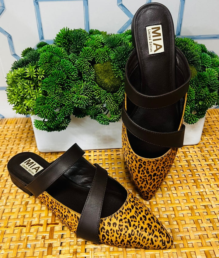 The Abie Flats in Cheetah