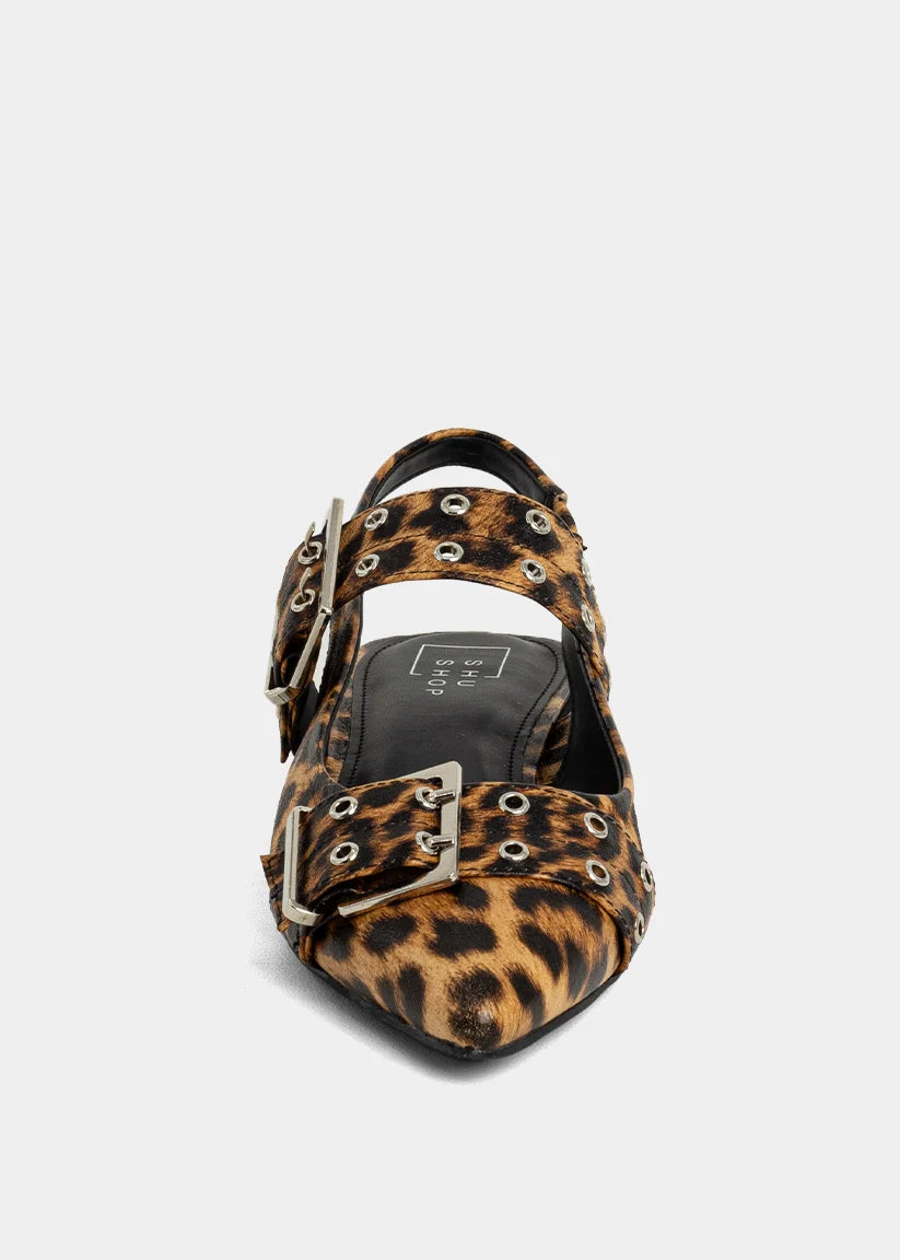 The Angela Flats in Leo