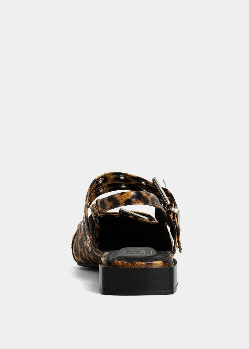 The Angela Flats in Leo