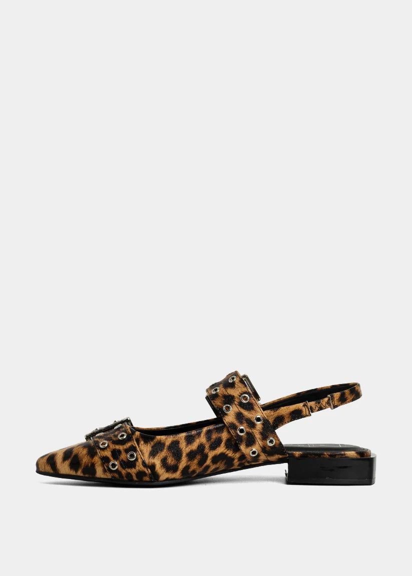 The Angela Flats in Leo