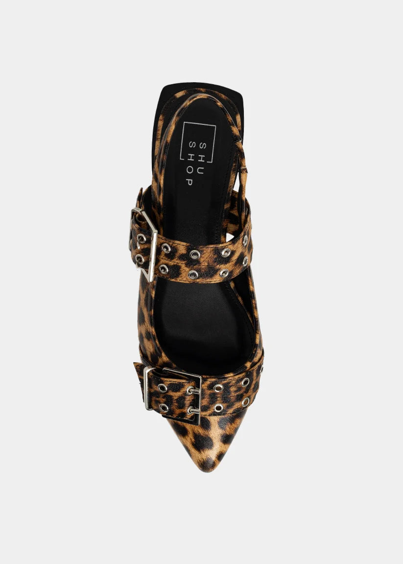 The Angela Flats in Leo