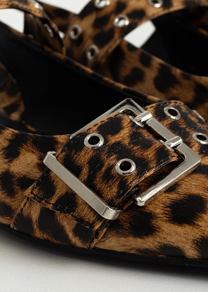 The Angela Flats in Leo