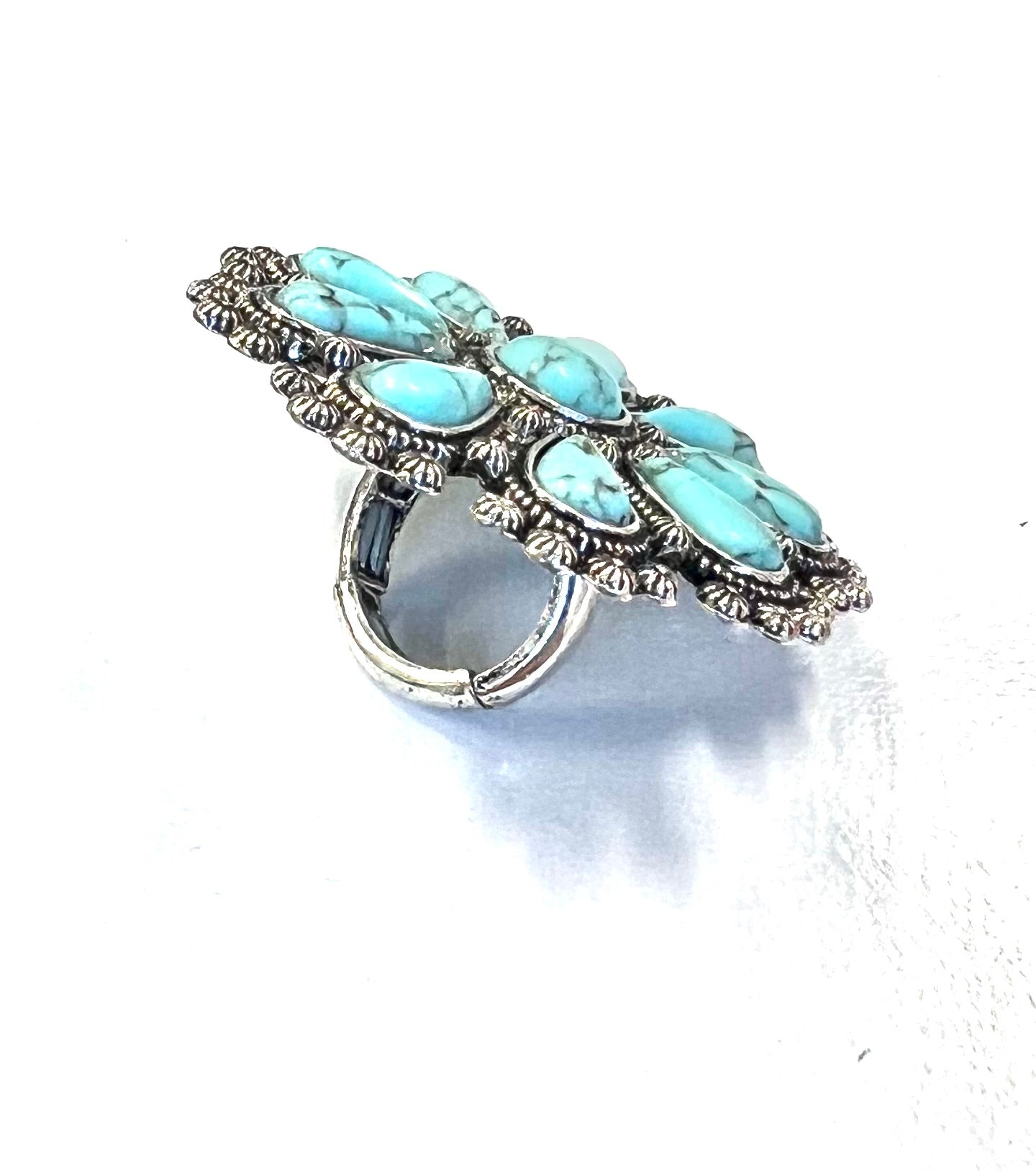 The Biggest Squash Ring