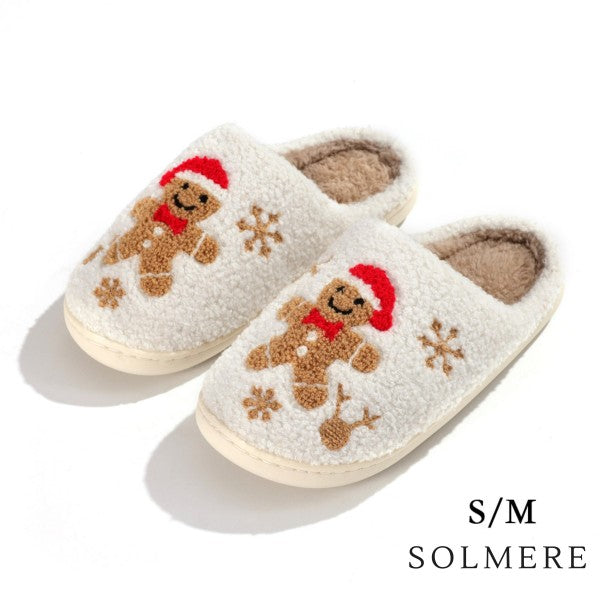 The Cozy Slippers - 20 Options