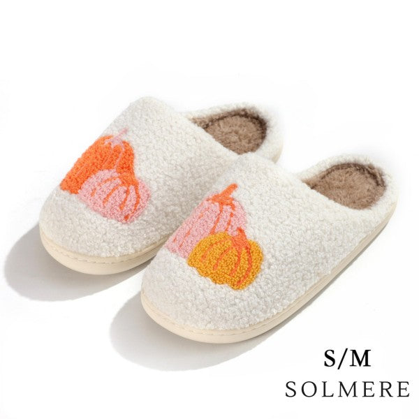 The Cozy Slippers - 20 Options