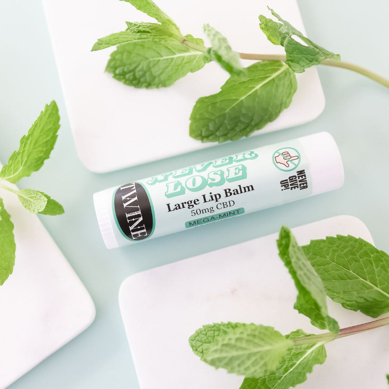 Twine Never Lose Large Lip Balm
