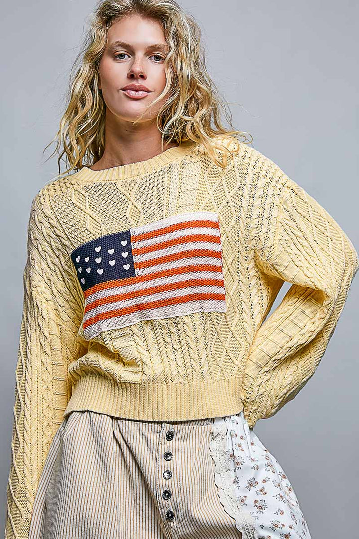 The Flag Sweater- 2 Colors
