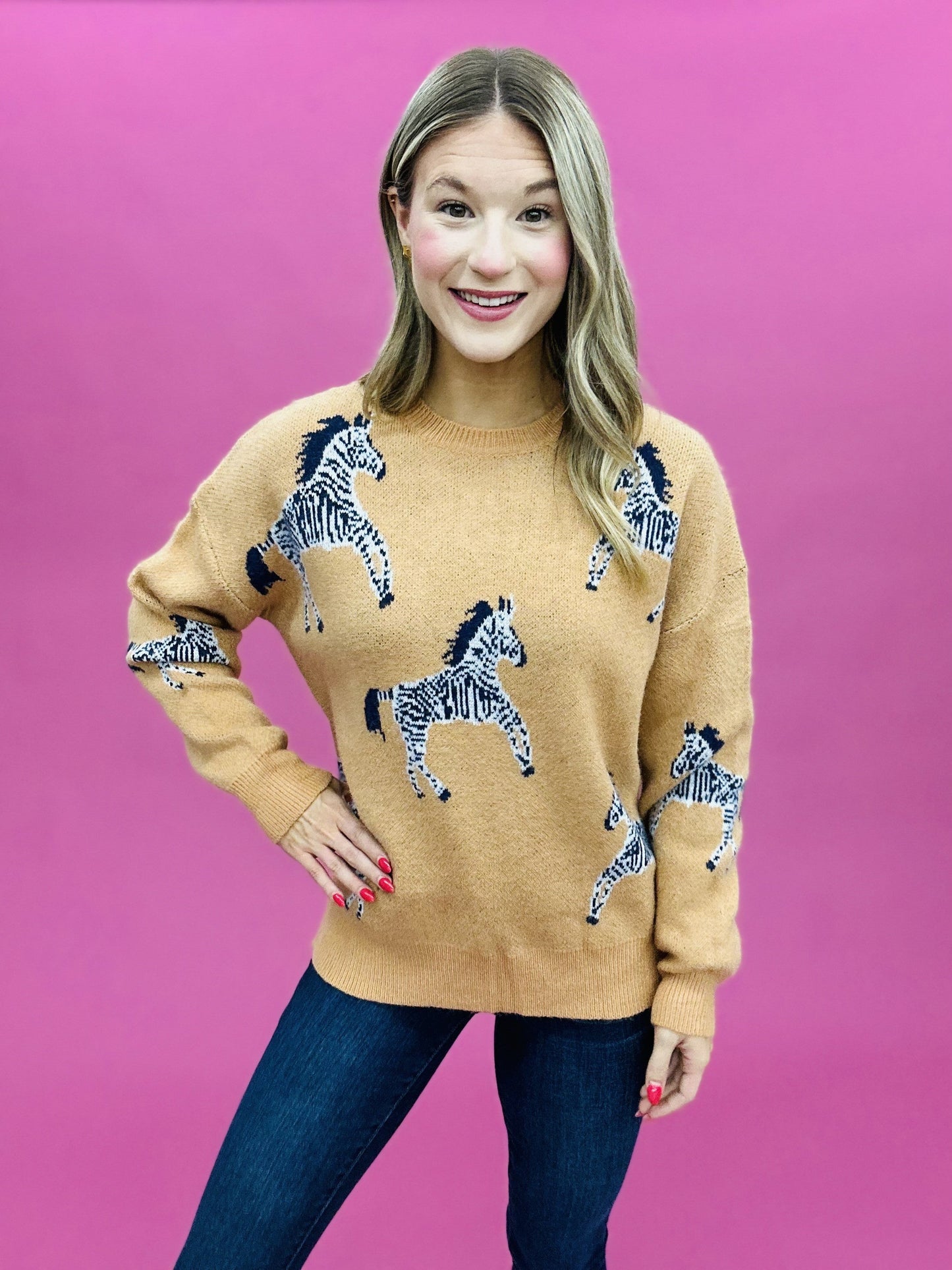 The Zebra Sweater in 3 Colors