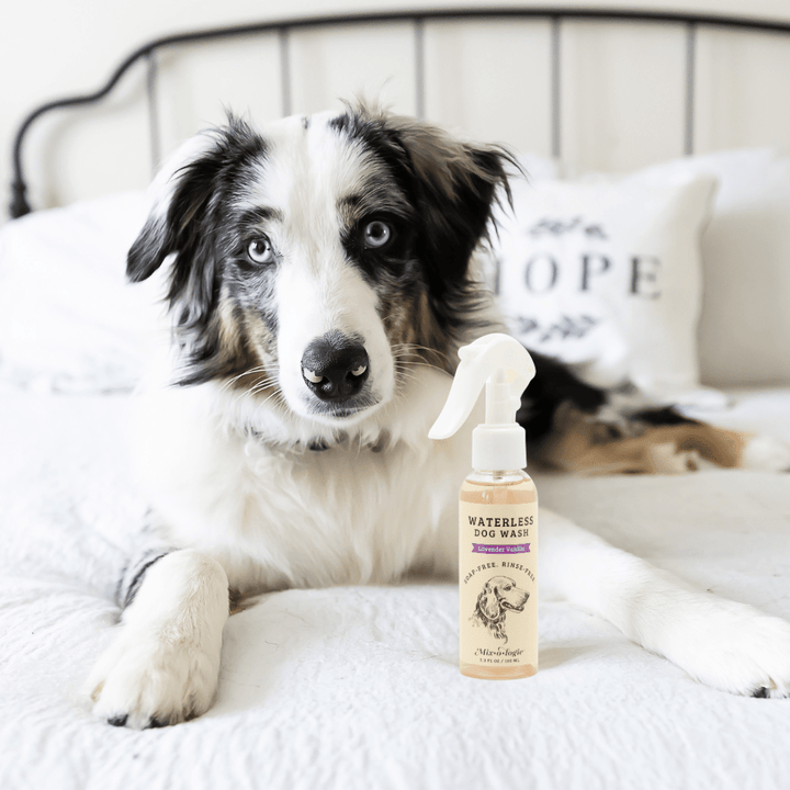 Rinse-Free Dog Wash by Mixologie