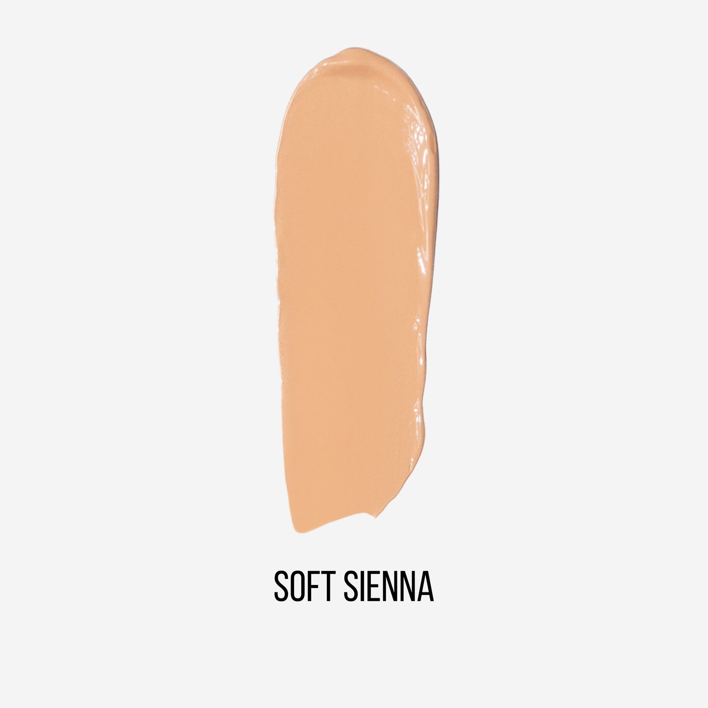 C&D Concealer