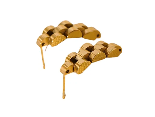 The Link Earrings