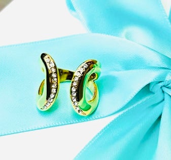 The Sami Ring