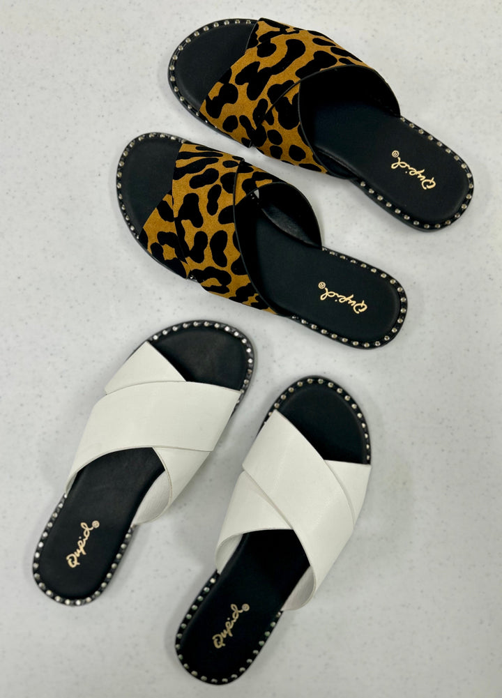 The Kazen Slides in 2 colors