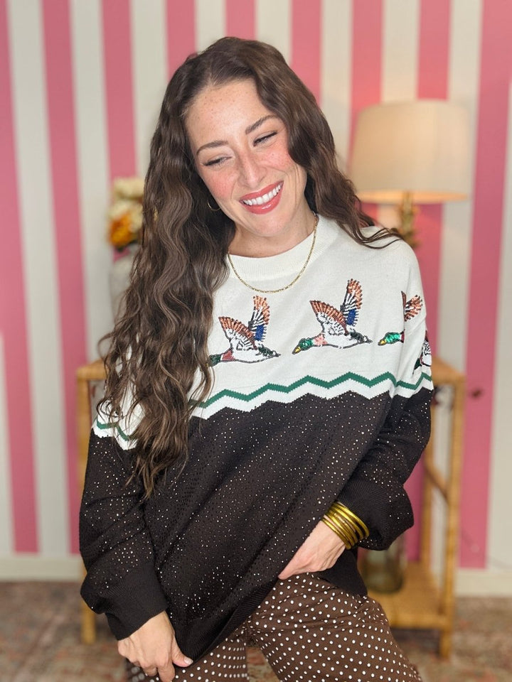 A woman wearing a long-sleeve knit sweater with a white upper section featuring embroidered ducks, a green zigzag stripe, and a black lower section with small gold-tone dot details. She is posing in front of a pink and white striped wall.