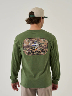 The Ducks Flying In LS