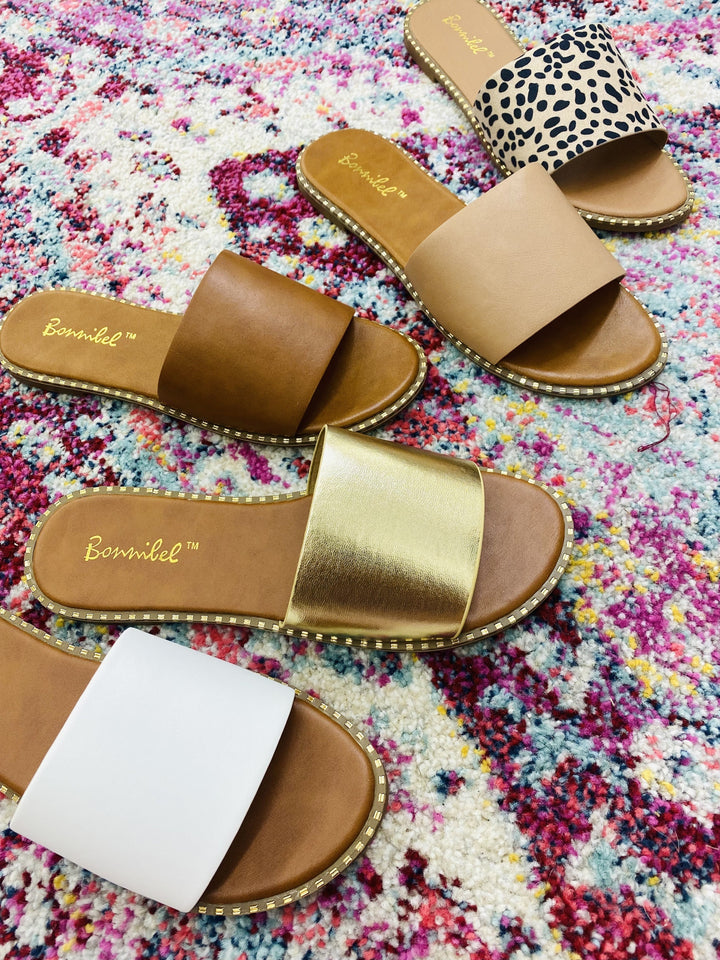 The Micah Slides