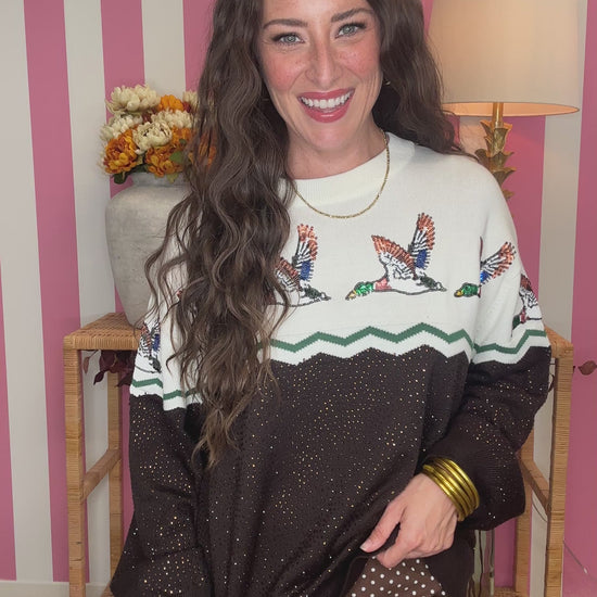 A woman wearing a long-sleeve knit sweater with a white upper section featuring embroidered ducks, a green zigzag stripe, and a black lower section with small gold-tone dot details. She is posing in front of a pink and white striped wall.