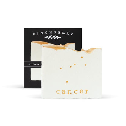 What's Your Sign Boxed Soap - 12 Styles